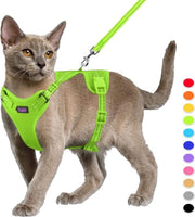 Set di protezione per gatti e cuscino, kit di protezione per gatti, giacca per gatti con strisce riflettenti, cintura e giacca per gatti/puppy, Modello M