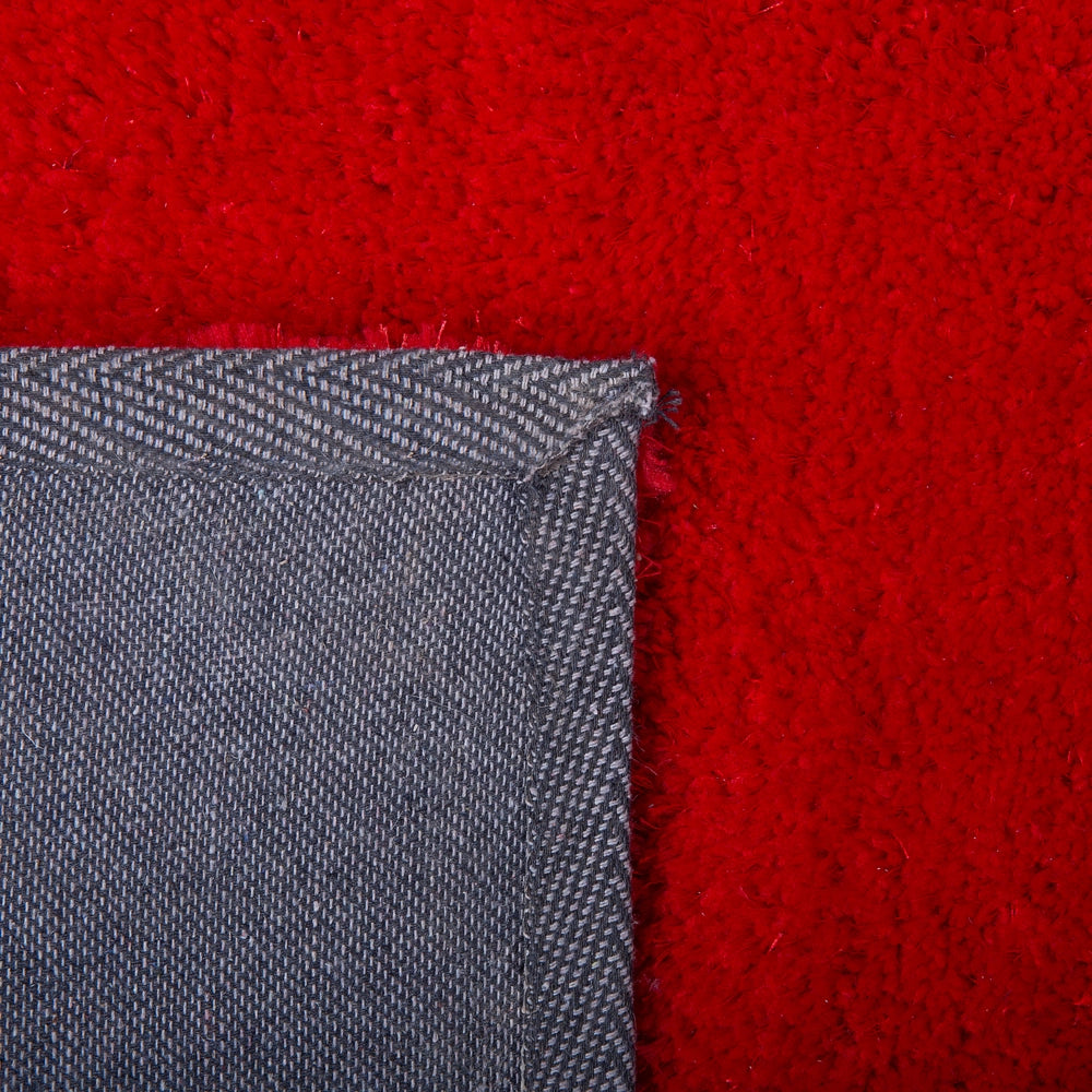 Tappeto Shaggy Rosso 140 x 200 cm Moderno Tappeto Rettangolare Trapuntato a Pelo Lungo