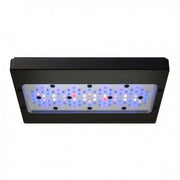 Ecotech Marine Radion XR30w G6 Blue