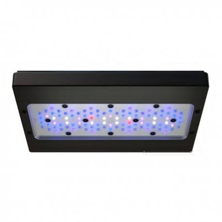 Ecotech Marine Radion XR30w G6 Blue