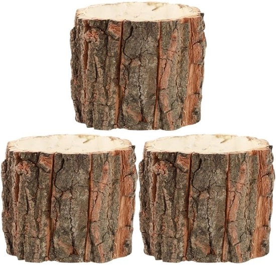 Bacchette per piante 3 pezzi - Vasche per piante per interni - Decorazione in legno - Vasi da giardino per camera - Adatti per cactus - Materiale duraturo - Vaso per piante