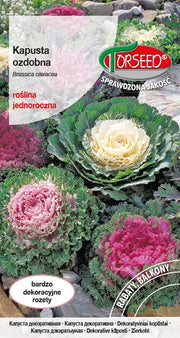 Cavolo ornamentale - Brassica oleracea con foglie colorate e "sfrangiate" 0,5 g