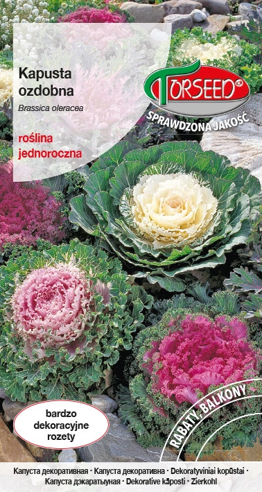 Cavolo ornamentale - Brassica oleracea con foglie colorate e "sfrangiate" 0,5 g
