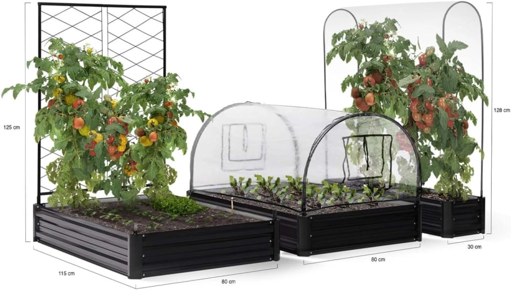 Kit Completo di 3 vasche modulari in Metallo per orto e Serra di pomodori + Traliccio + Copertura