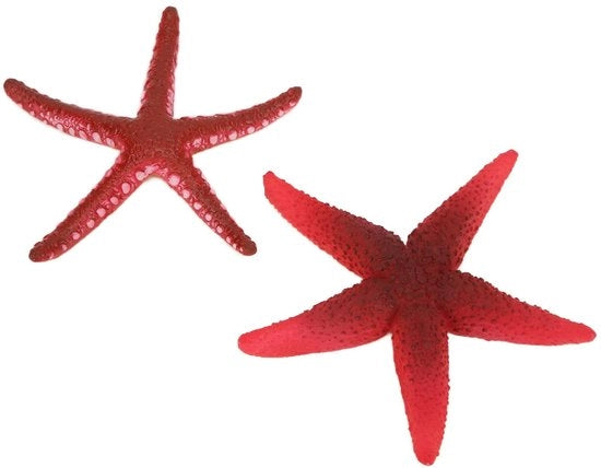 Decorazione luminosa a forma di stella marina - Decorativa stella marina - Non tossica naturale - Silicagel ecosostenibile - Sicuro per pesci - Realistico e flessibile - Decorazione per acquario