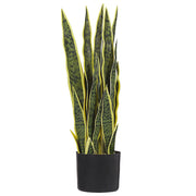 Pianta artificiale di serpente in vaso verde e Nero Materiale sintetico 63 cm Accessorio decorativo per interni