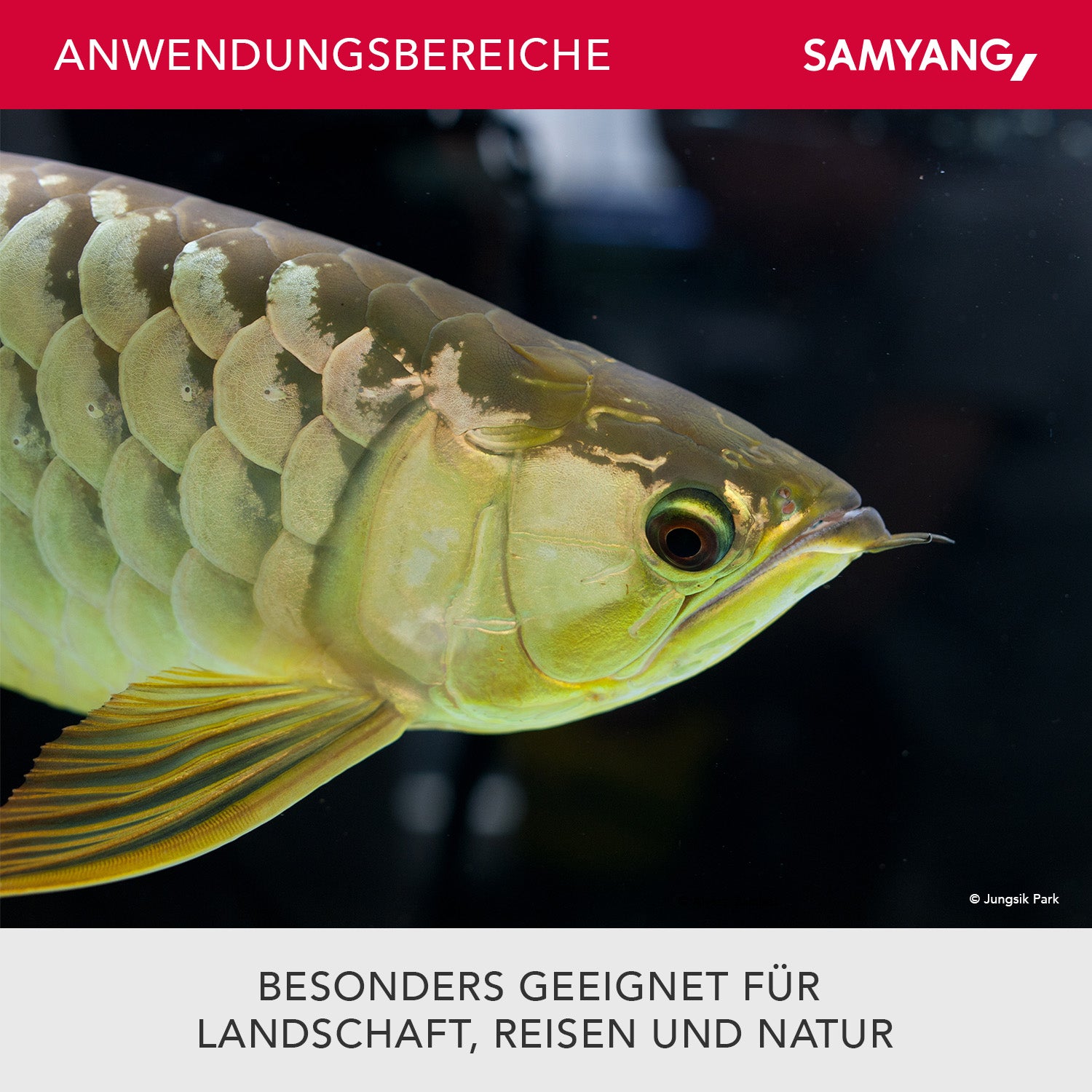 Obiettivo grandangolare per video MF 35mm T1,5 VDSLR MK2 – luminoso T1,5 per Sony E Mount, Follow Focus, full-frame e APS-C, risoluzione 8K