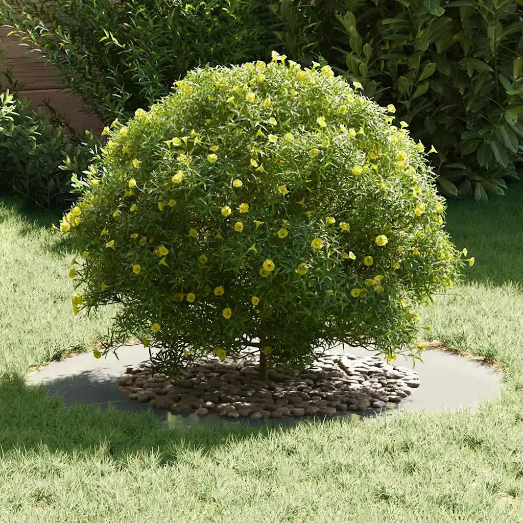 adatto per Anello d'Albero Piatto Argento ?50 / 80 cm CFW2393038