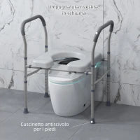 Sedia Comoda WC per Anziani e Disabili 4 in 1 Regolabile in Altezza con Braccioli Imbottiti, Grigio