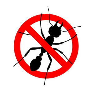 Microgranuli formiche insetti barriera protettiva interni esterni 250 gr ekostop