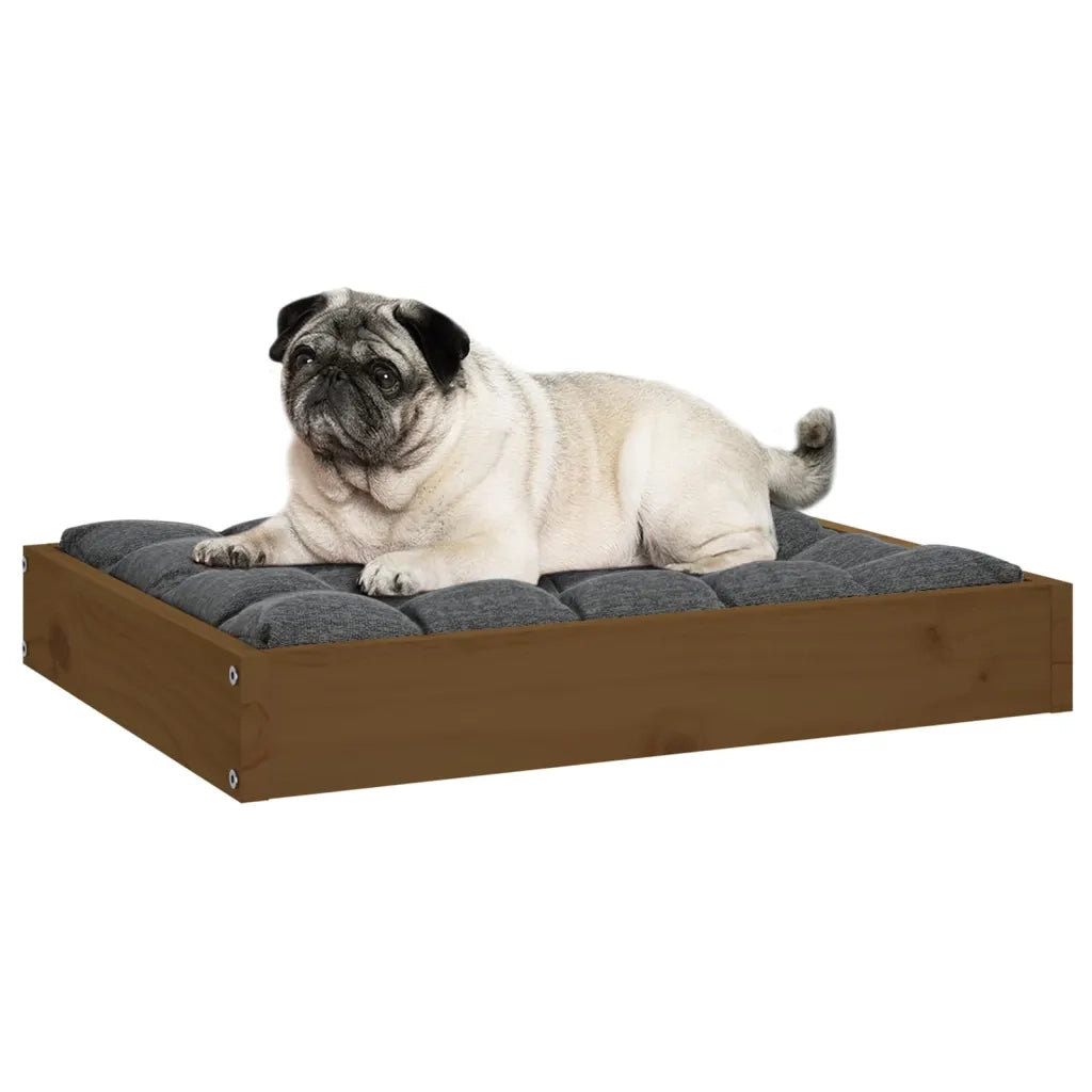 Cuccia per Cani Ambrata 61,5x49x9 cm in Legno Massello di Pino 820854