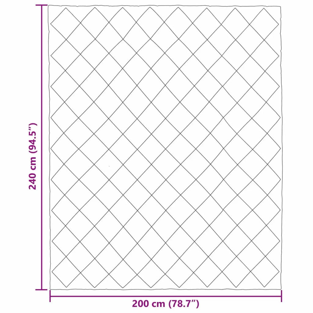 Piumone | Duvet Completo Annuale Grigio chiaro 200 x 240 cm Microfibra