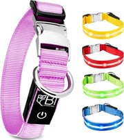 Cinturino di sicurezza per cani con LED, lunga durata della batteria, anche in condizioni di scarsa visibilità, dotato di chiusura in metallo di alta qualità