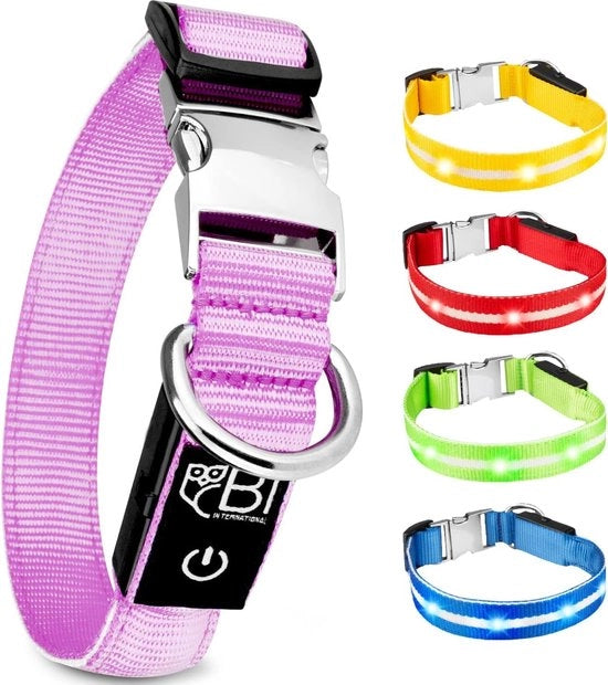 Cinturino di sicurezza per cani con LED, lunga durata della batteria, anche in condizioni di scarsa visibilità, dotato di chiusura in metallo di alta qualità