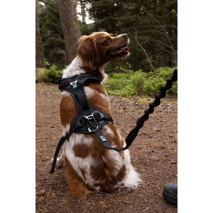 Pettorina per cani - SYMBIOZ - S - Nera / Blu