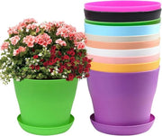 Set di vasi in plastica colorati per piante di cactus piccole - set da 10 pezzi con coperchi - 10cm