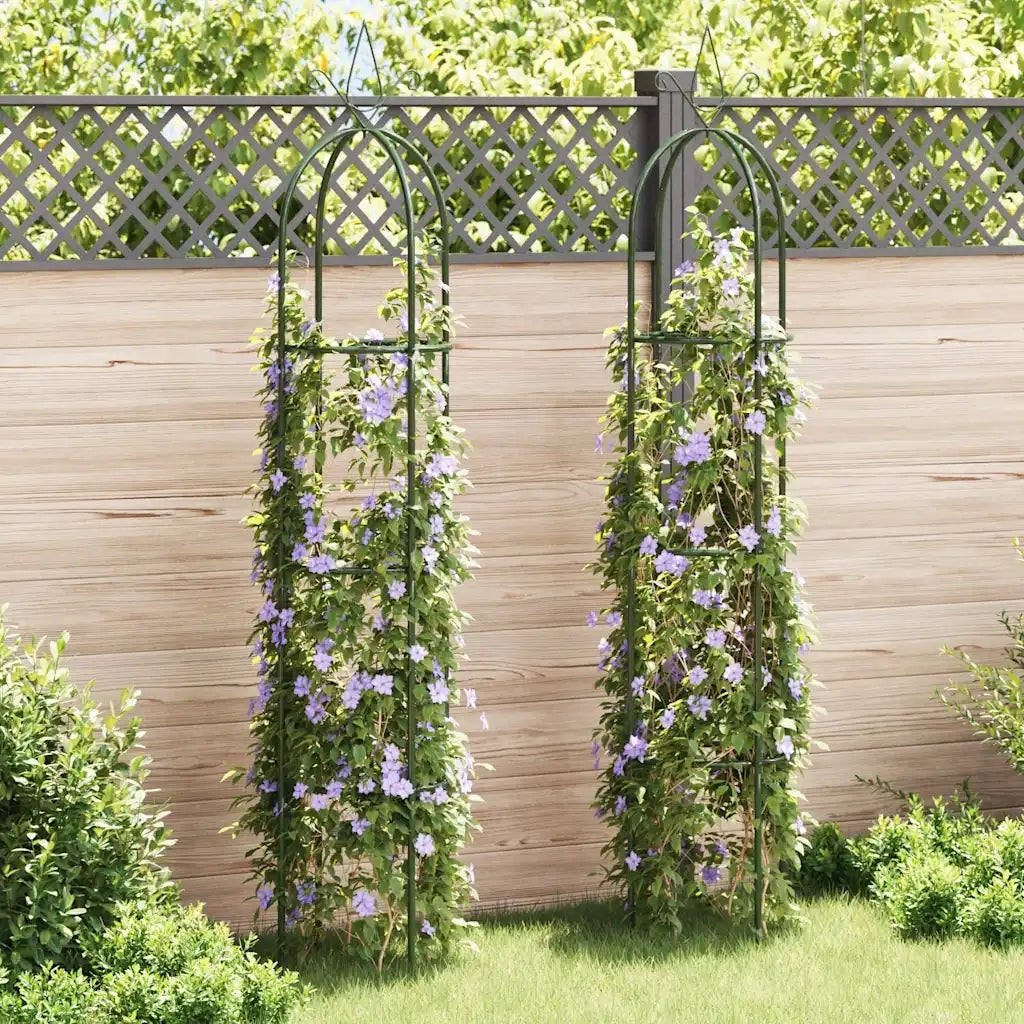Set Torri ad Arco 2 pz per Piante Rampicanti da Giardino CFW2461839