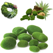 Decorazione con Palla di Muschio Artificiale 40 pezzi Palla di Muschio Conservata Palla di Muschio di Pietra Palla di Muschio Verde Conservata Decorazione di Palla di Muschio per Progettazione Interna