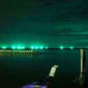 Faro Proiettore Led Flood Light 20W Colore Verde IP65 Interno Esterno Carcassa Nera SKU-5991
