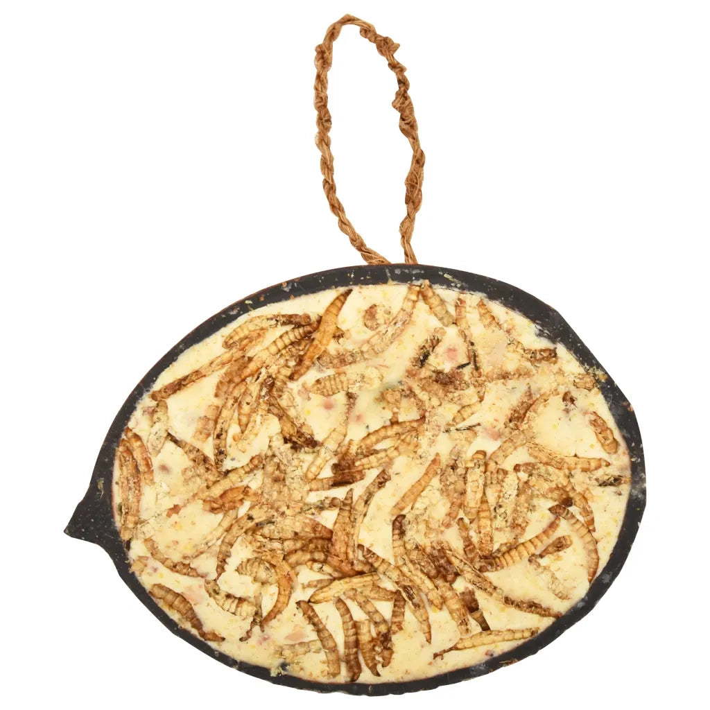 Noci di Cocco Ripiene di Cibo per Uccelli 10 pz 290 g CFW8868760