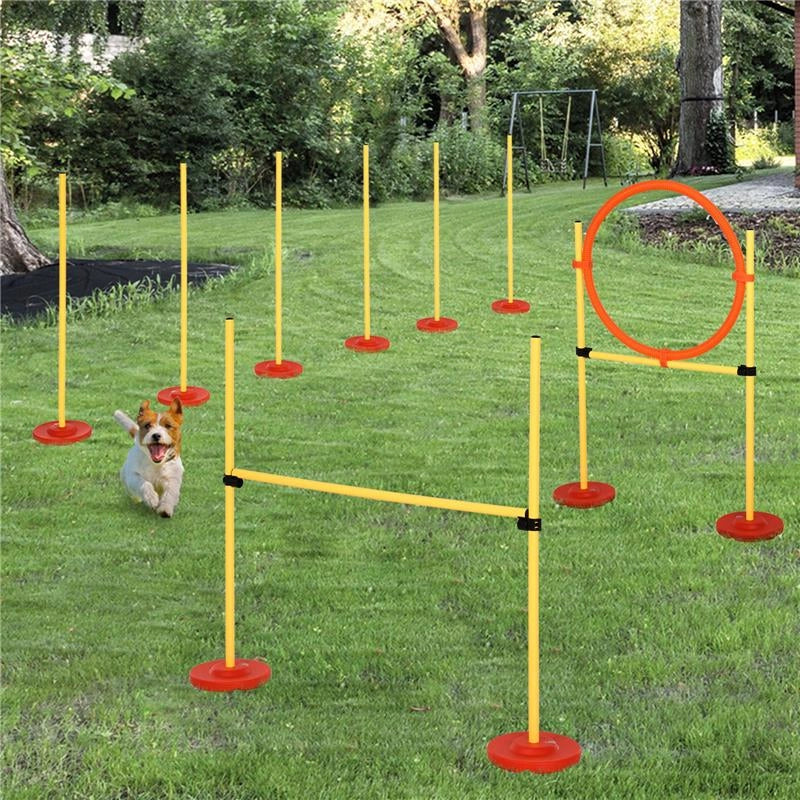 SET AGILITY DOG CON PALETTI ED ANELLO REGOLABILE PER ADDESTRAMENTO CANI