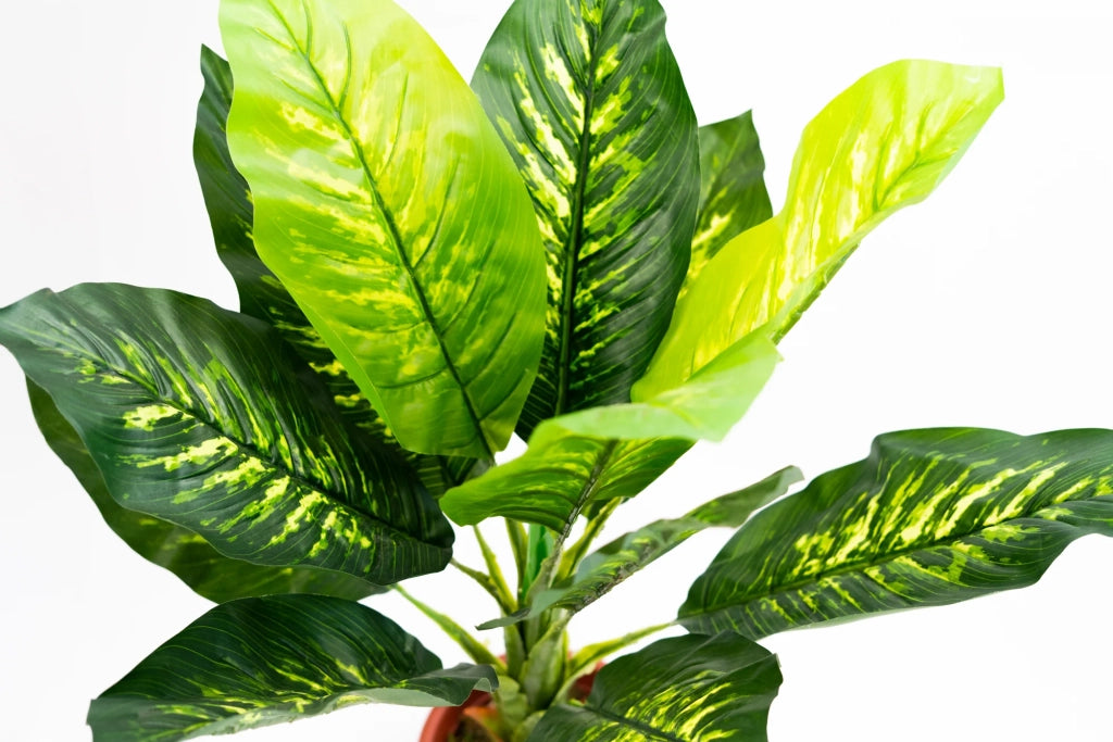 Pianta verde artificiale per interno Dieffenbachia, Filodendro, Palma, Aralia