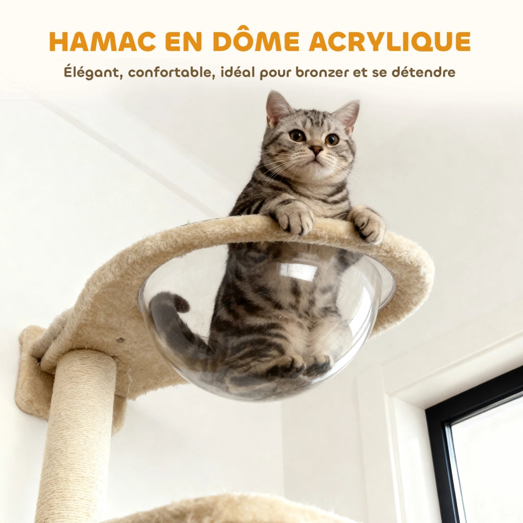 Sistema di scaffalature murali per gatti 6 pezzi con amaca e nicchia ¨C zephmum ¨C beige