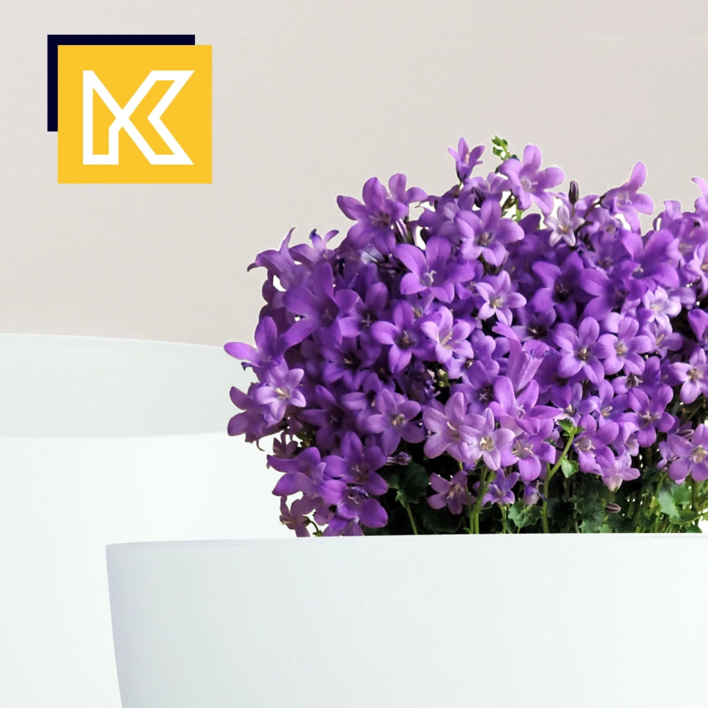 Vaso da fiori KADAX, fioriera, coperchio, gambe, inserto, supporto per fiori, 29 cm, bianco, rotondo, 2 pezzi.