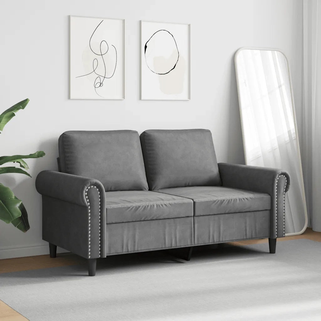 Divano | Divano da soggiorno | Sofa a 2 Posti grigio scuro 120 cm in Velluto