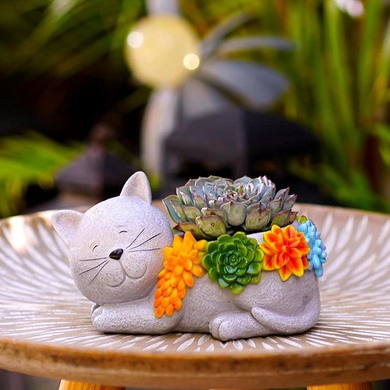 Pianta di Fiori - Kawaii - Esterno - Gatto - Giardino - Cera - Piante Grasse - Scarico - Decorazione Giardino - Regali - Donne - Decorazione Interna