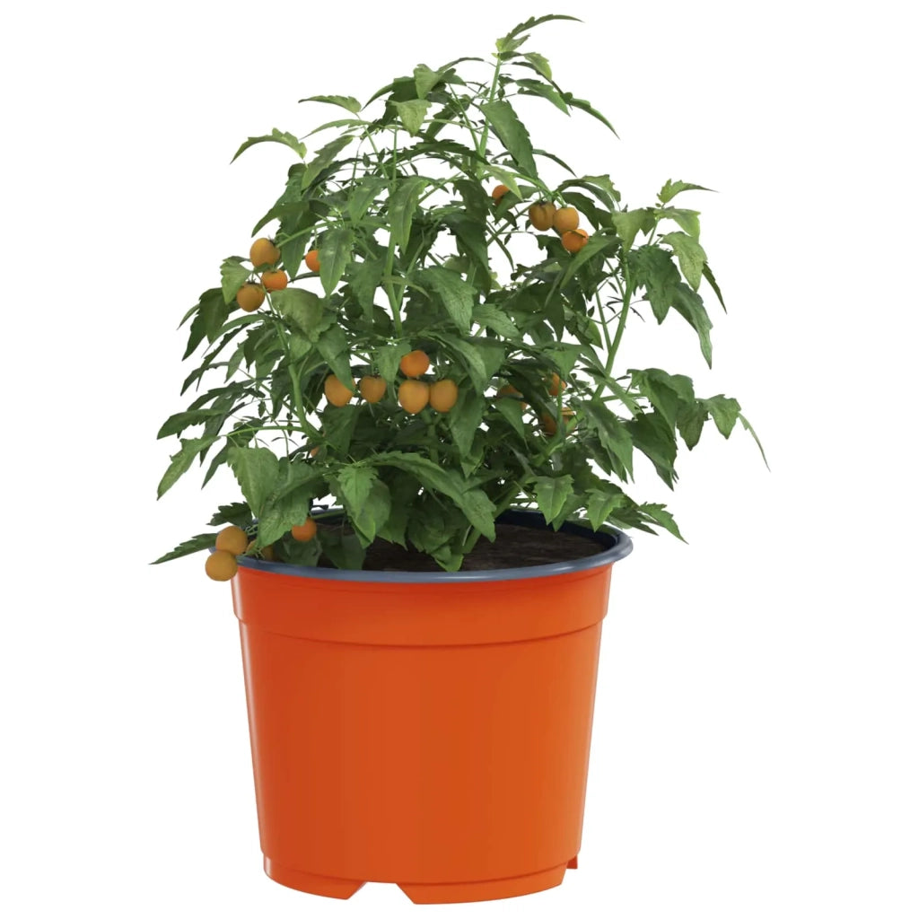 Vaso Rotondo per Fiori 200 pcs Terracotta Ø 10 x 8 cm Plastica 42029486