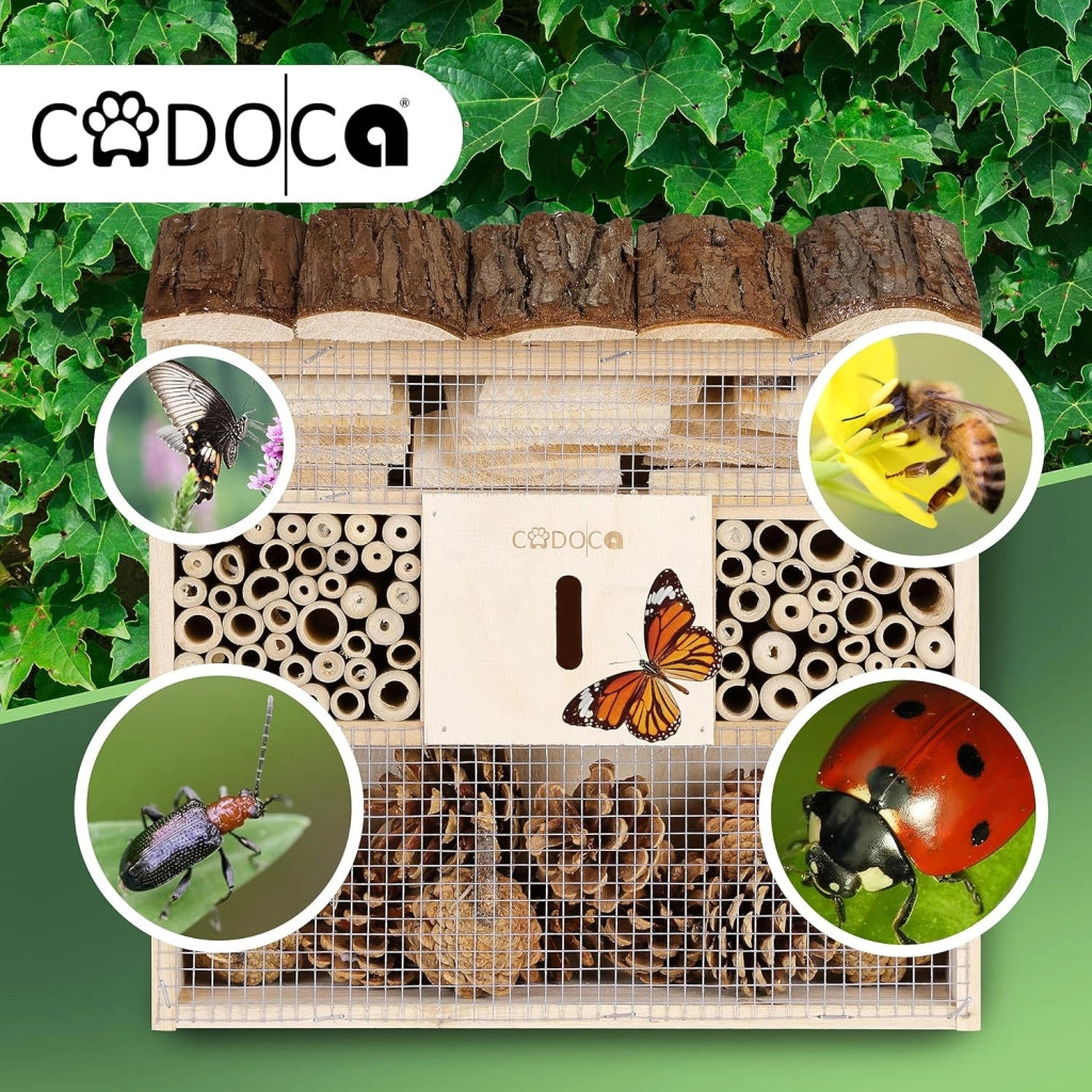Cadoca Cassetta per insetti in legno 31x31 nidificazione hotel insetti refugio api coccinelle api vespe griglia metalica
