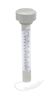 TERMOMETRO PER PISCINA- BESTWAY- 1,0 pz