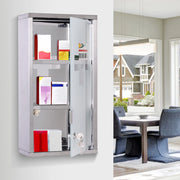 Armadietto Portamedicinali da Parete in Acciaio Inox con 2 Chiavi, 3 Ripiani, 25x12x48 cm