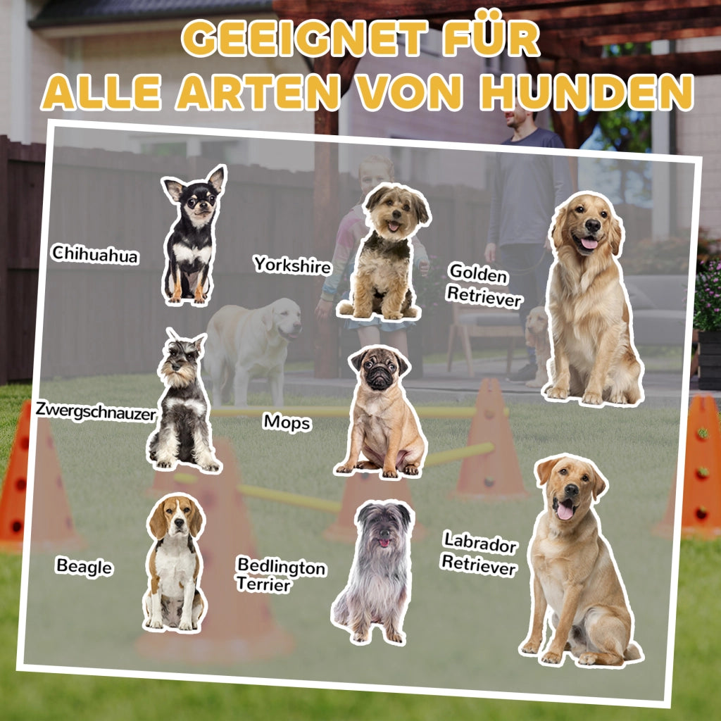 Set Agility 3 Pezzi per Cani ¨C Minimal ¨C Con 6 Coni e 3 Ostacoli in Tasca
