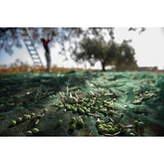 C RETE P/OLIVE ANTISPINA 32G 5 X200M CALABRIA