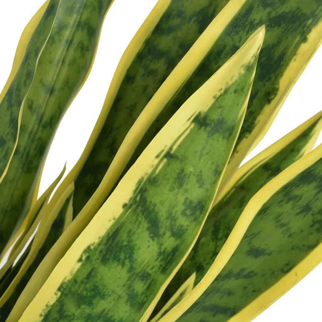 Sansevieria Pianta Artificiale con Vaso 65 cm Verde CFW4278124