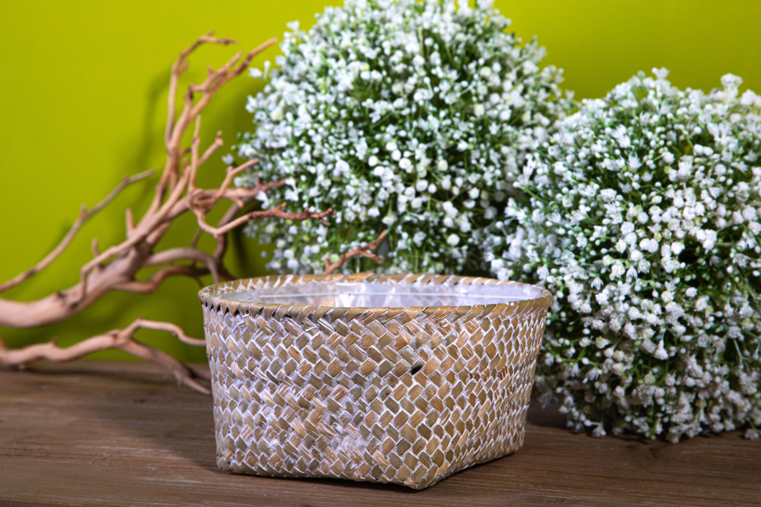 Set 4 Ciotole Contenitore Larghezza cm2