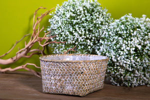 Set 4 Ciotole Contenitore Larghezza cm2