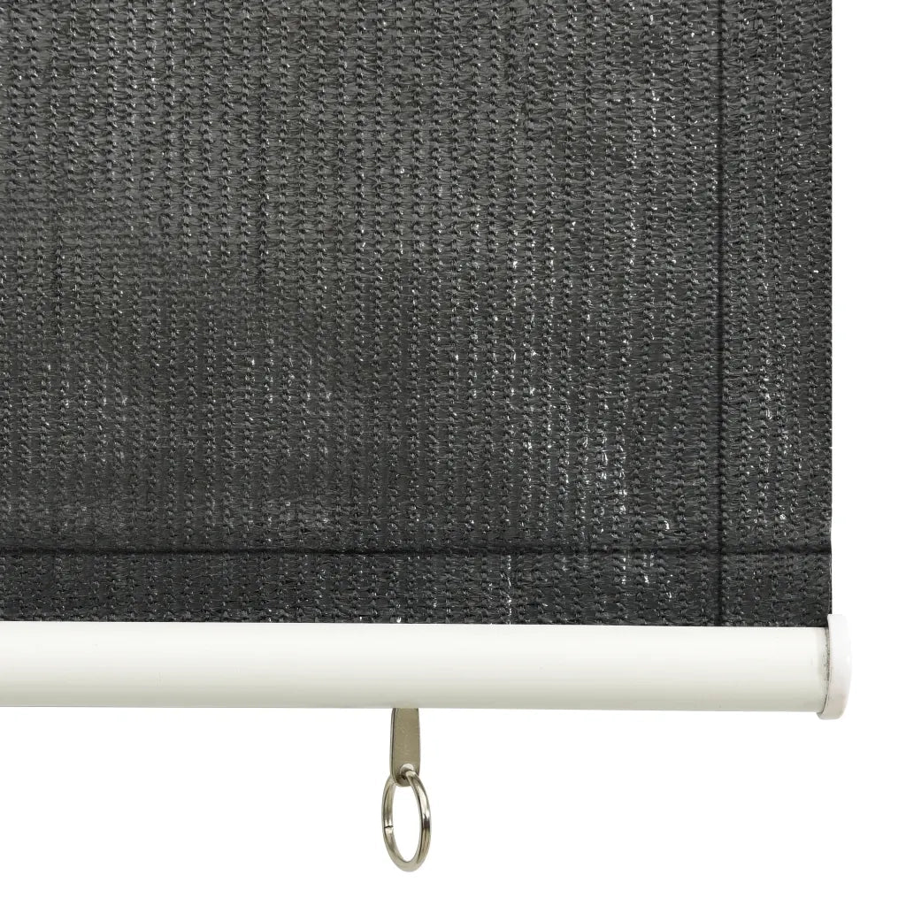 Tenda a Rullo per Esterni 60x140 cm Antracite 312653
