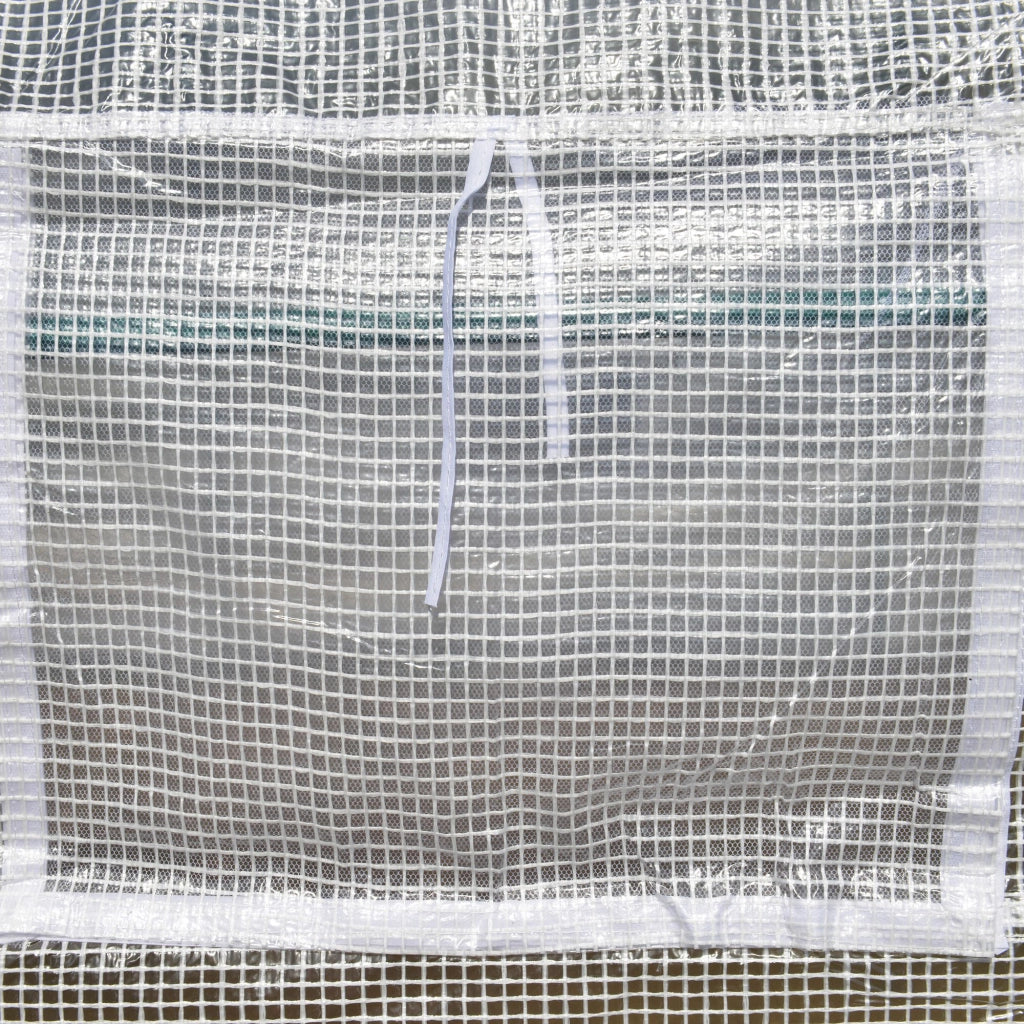 EasyComfort Serra per Orto 6x3x2m con 8 Finestre e Porta Avvolgibile, in Acciaio e PP, Verde