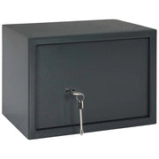 Cassaforte con blocco Grigio scuro 35 x 25 x 25 cm Acciaio CFW9714965
