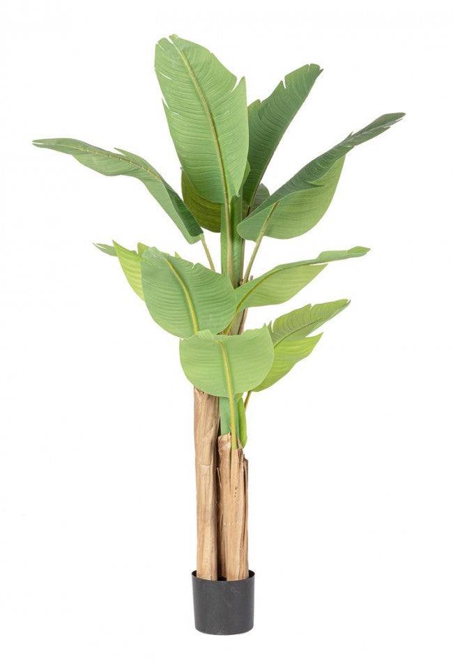 Set 2 Piante Artificiali di Banano 90x110x150 cm in Plastica con Vasi Verde