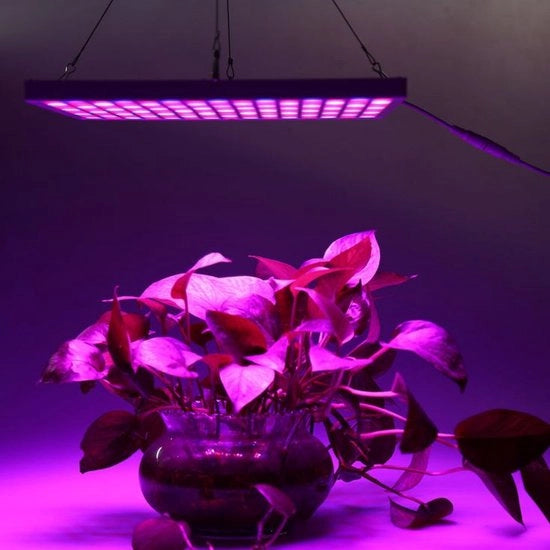 Lampada a LED per la crescita - luce per la crescita - full spectrum - crescita e fioritura - lampada per la crescita full spectrum - 45 Watt - 30,5 x 30,5 cm - 225 LED