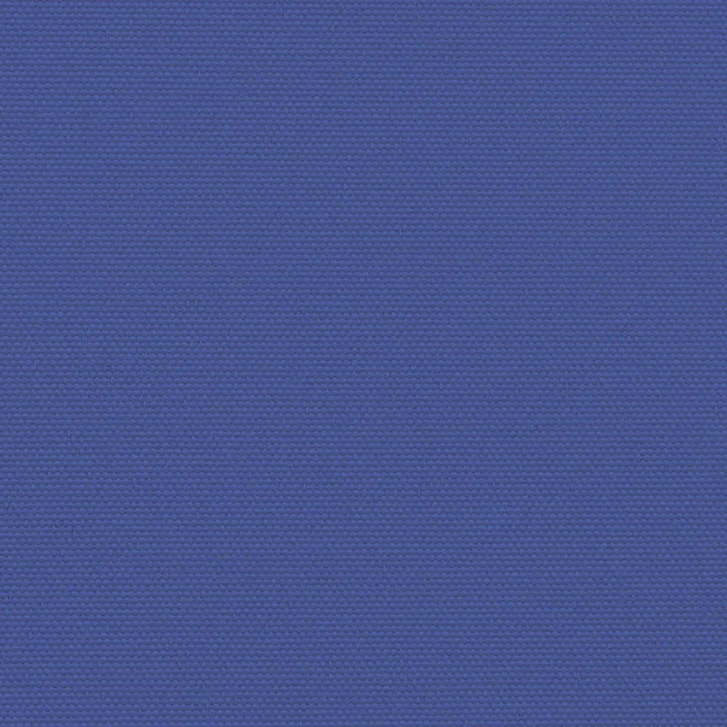 Tenda da Sole Laterale Retrattile Blu 160x1200 cm 4004821