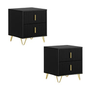 SoBuy Set di 2 Comodino Camera da Letto - Comodino con 2 Cassetti, Tavolino Salotto - Moderna Cassettiera L40 x P40 x A47 cm Nero FBT115-SCHx2