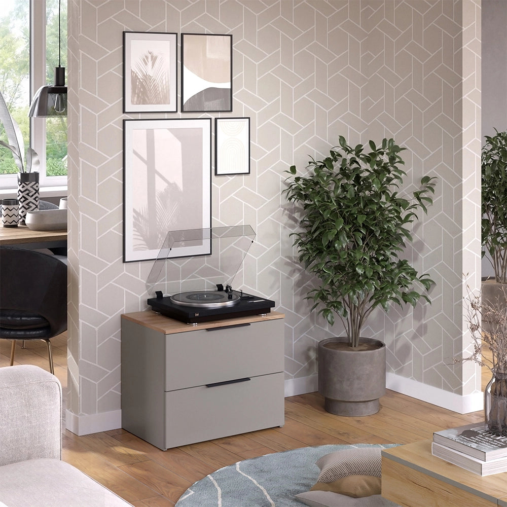 Vicco Cassettiera per camera da letto Grigio 60 x 50 cm con 2 cassetti