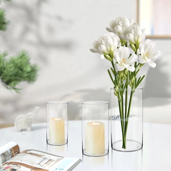 Vaso in vetro per fiori - 20 cm alte vasca cilindrica decorativa, vaso da tavolo trasparente per interni