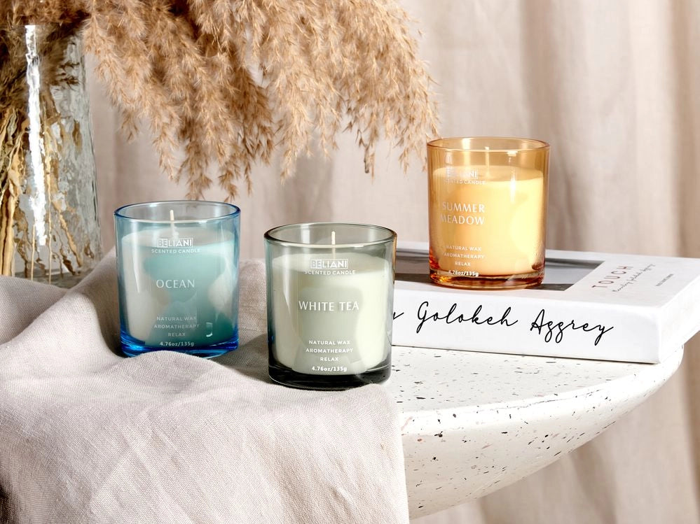 Set di 3 candele profumate multicolore 100% cera di soia stoppino di cotone vetro Naturale Fragranza fresca Oceano, Tè bianco, Prato estivo