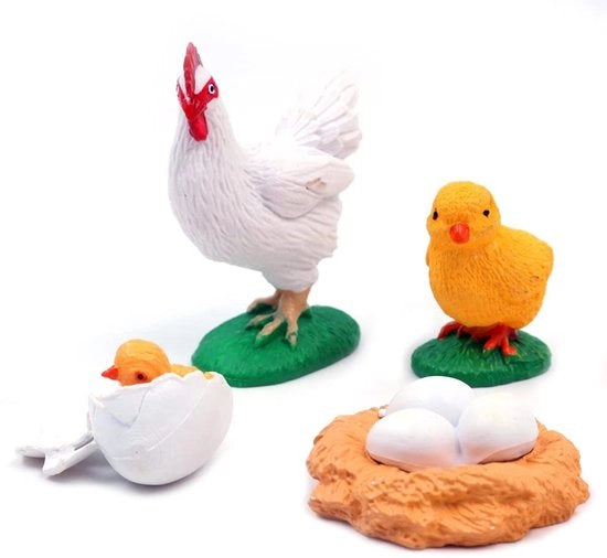 Giocchi Educativi 4 Pezzi - Sensoriali - Montessori - Ciclo della Vita - Realizzato in PVC di Alta Qualità